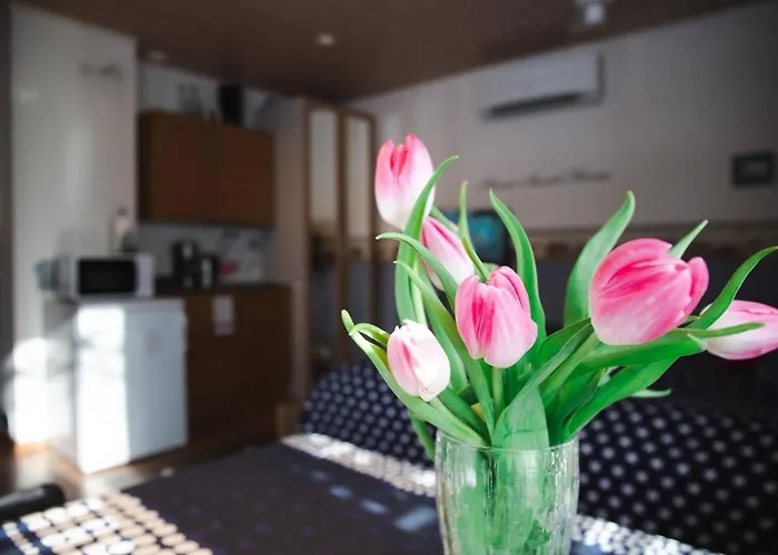 Ilmastoitu Vierassviitti - Roosa 科科拉